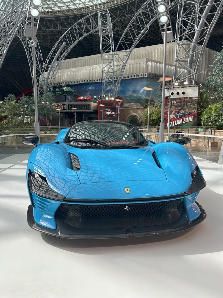 Ferrari World - blue car